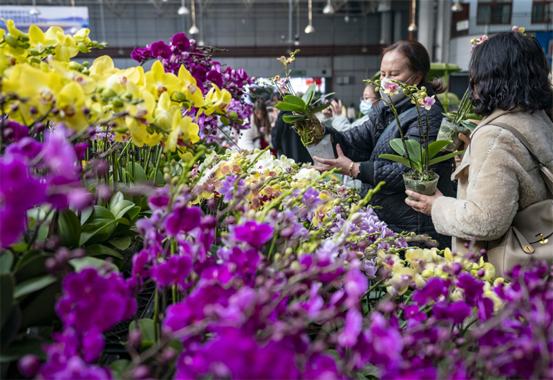 Μεγ?λη η ζ?τηση για λουλο?δια στην αγορ? του Κουνμ?νγκ