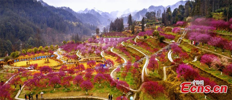 (Φωτογραφ?α / China News Service)