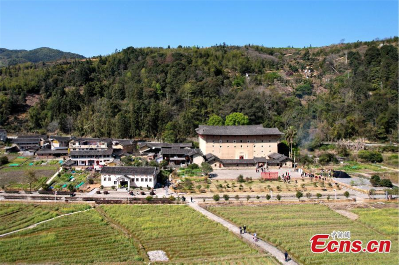 Λουλο?δια και τουλ?ου συνθ?τουν μια ειδυλλιακ? συμφων?α στο Φουτζι?ν