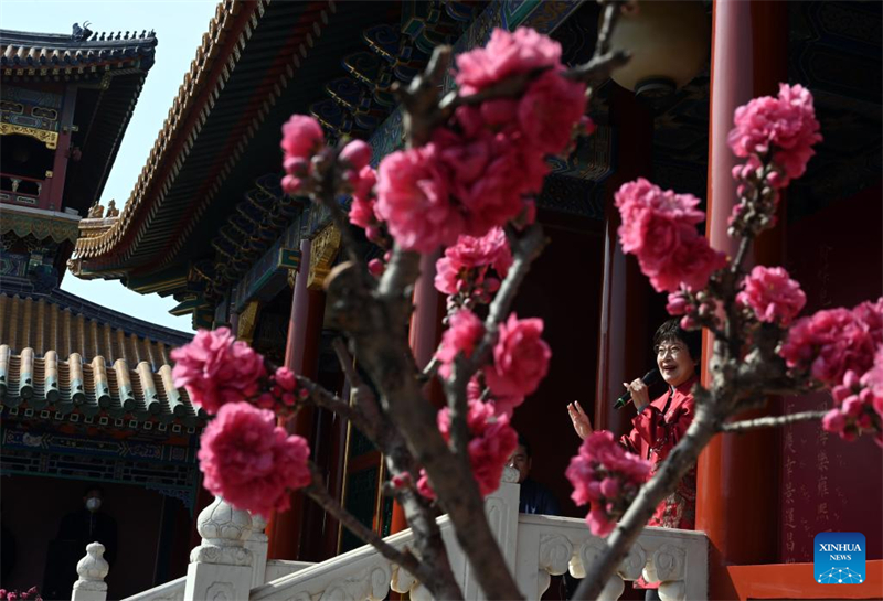 Κινεζικ?? κλασικ?? ?περε? στην σκην? του Μουσε?ου του Παλατιο? στο Πεκ?νο