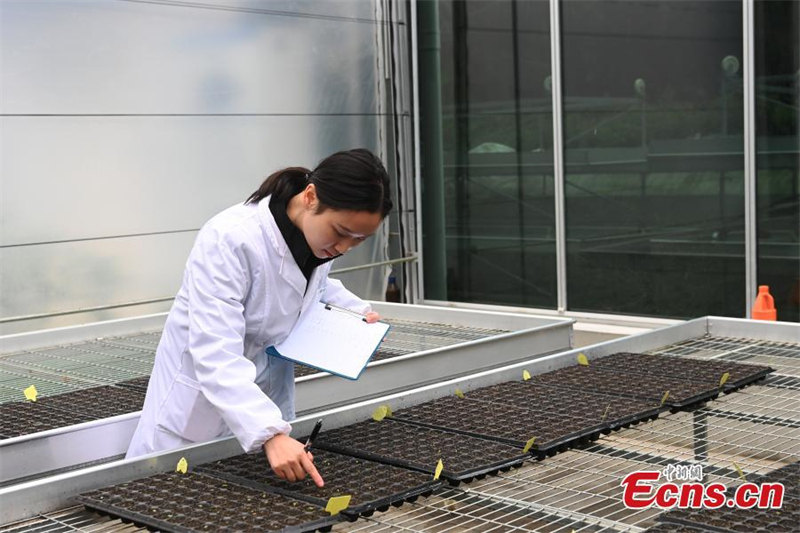 (Φωτογραφ?α: China News Service)