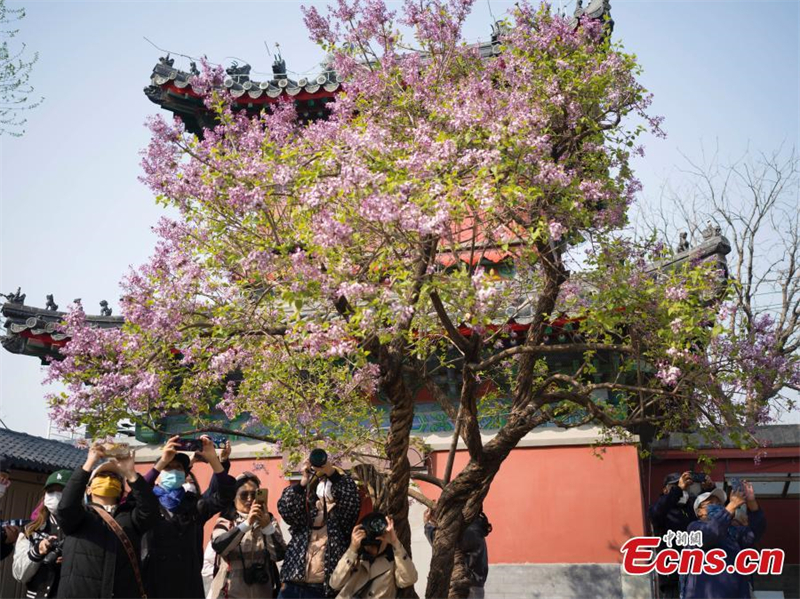 (Φωτογραφ?α: China News Service)