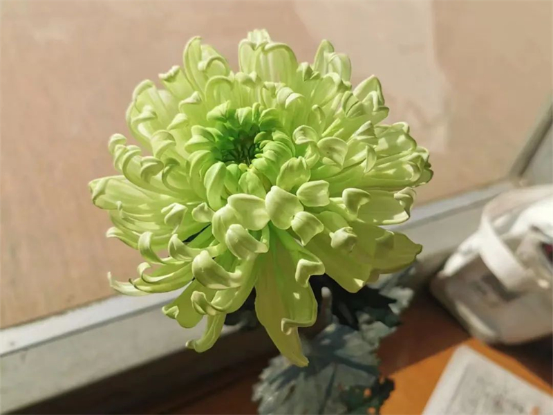 Μια κοπ?λα αφιερωμ?νη στην τ?χνη τη? κατασκευ?? λουλουδι?ν τονγκτσ?ο