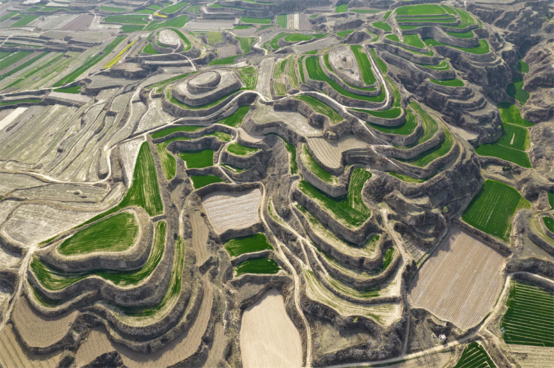 Καλλι?ργειε? ευδοκιμο?ν σε χωρ?φια με αναβαθμ?δε? στο Σανσ?