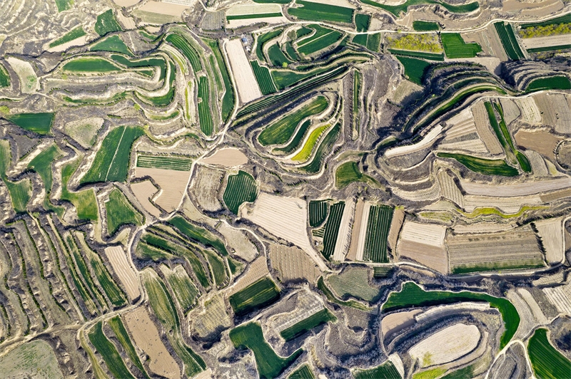 Καλλι?ργειε? ευδοκιμο?ν σε χωρ?φια με αναβαθμ?δε? στο Σανσ?