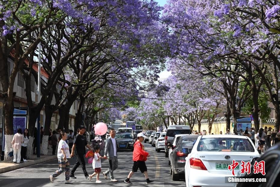 Δ?νδρα Ιακαρ?νδη??στην π?λη?Κουνμ?νγκ τη? επαρχ?α? Γιουν?ν ανθ?ζουν?σαν ?σερπαντ?να? και ντ?νουν?την οδ?