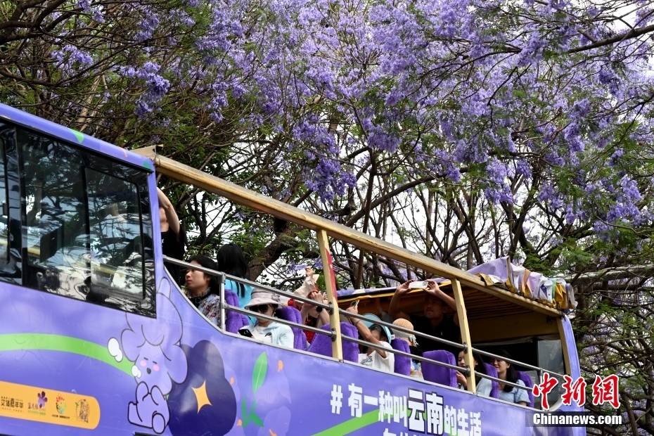 Δ?νδρα Ιακαρ?νδη??στην π?λη?Κουνμ?νγκ τη? επαρχ?α? Γιουν?ν ανθ?ζουν?σαν ?σερπαντ?να? και ντ?νουν?την οδ?