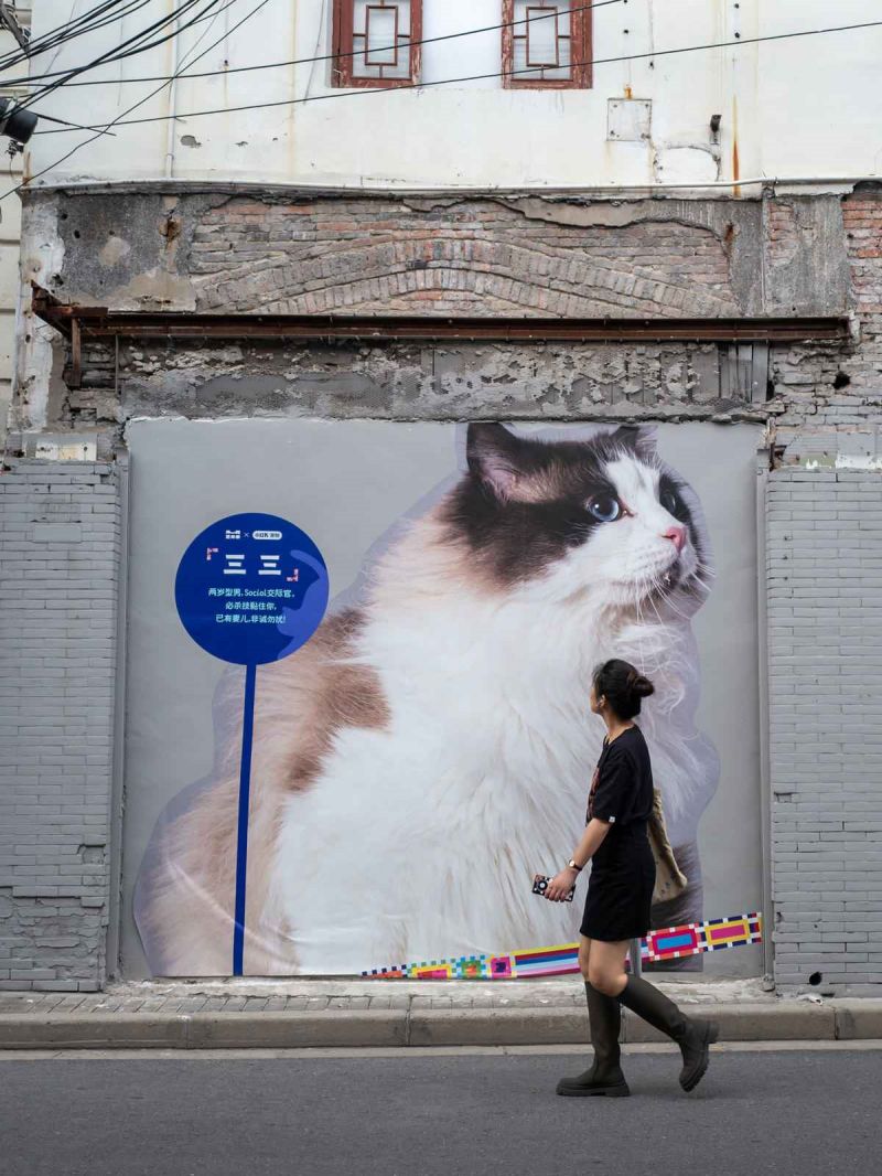 Ο παλι?? δρ?μο? τη? Σαγκ?η?