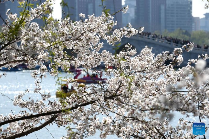 Κ?σμο? απολαμβ?νει την ?νοιξη στο π?ρκο Γιουγιουαν’τ?ν στο Πεκ?νο