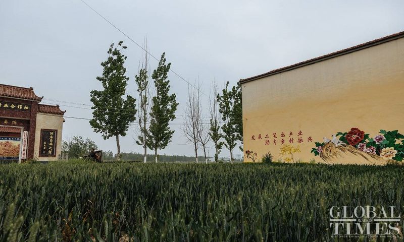 Π?νακε? παι?νια? απ? αγρ?τε? – καλλιτ?χνε? στο Σαντ?νγκ