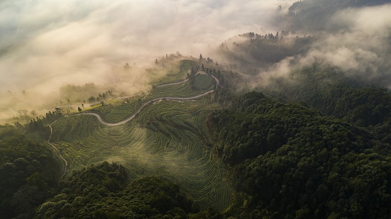 (Φωτογραφ?α / VCG)