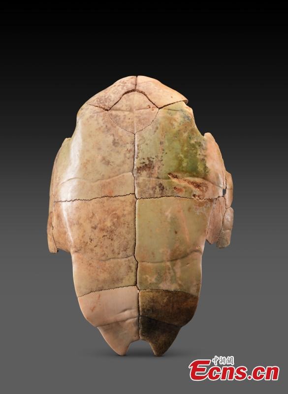 Τ?φοι ευγεν?ν τη? δυναστε?α? Σανγκ ανακαλ?φθηκαν στο Σαανσ?