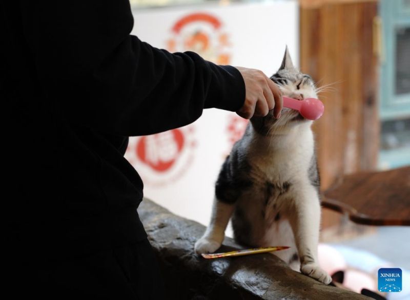 Ο γατοκαφεν?? τη? Οδο? Νανλουογκουσι?νγκ