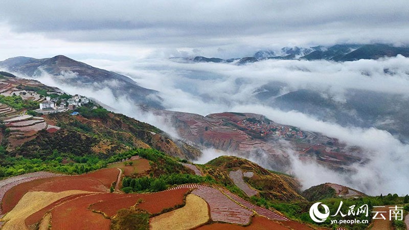 Τυλιγμ?να στην ομ?χλη τα πολ?χρωμα χωρ?φια με αναβαθμ?δε? στο Γιουν?ν
