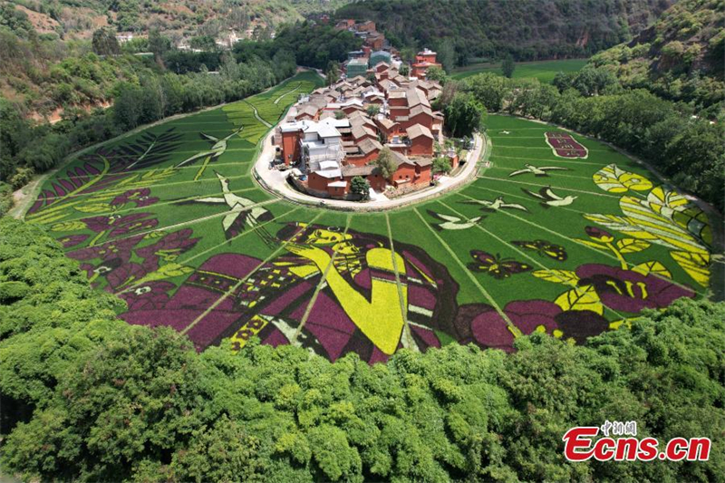 Τερ?στια ?ργα τ?χνη? στου? ορυζ?νε? του Γιουν?ν