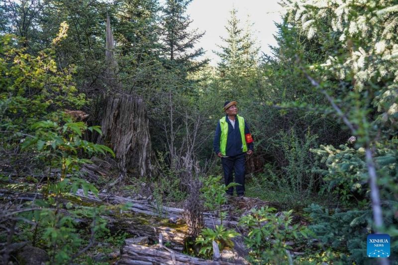 Ο οικολογικ?? τουρισμ?? γ?νεται ο πυλ?να? τη? βιομηχαν?α? του χωριο? Γκ??πα, στην π?λη Νινγκτσ?, στο Θιβ?τ τη? νοτιοδυτικ?? Κ?να?