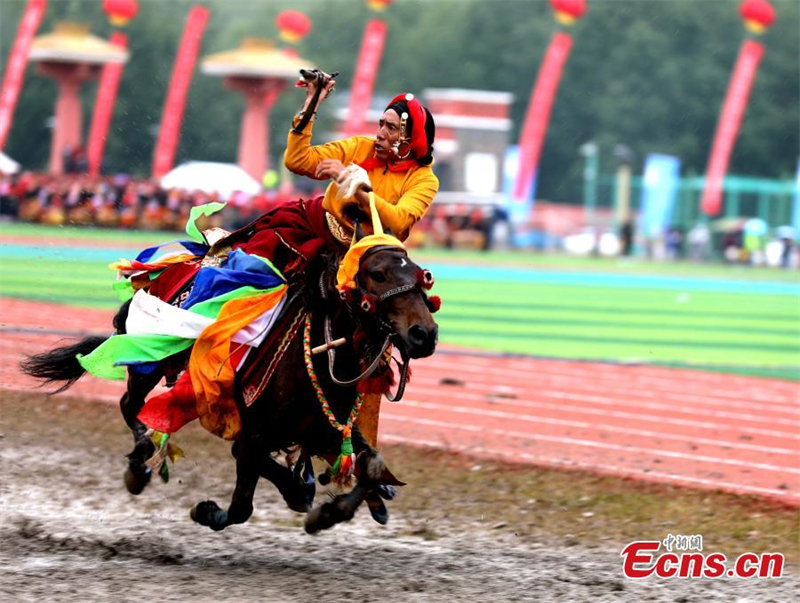 Φεστιβ?λ ιπποδρομι?ν στο Τσινγκχ?ι