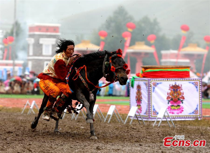 Φεστιβ?λ ιπποδρομι?ν στο Τσινγκχ?ι