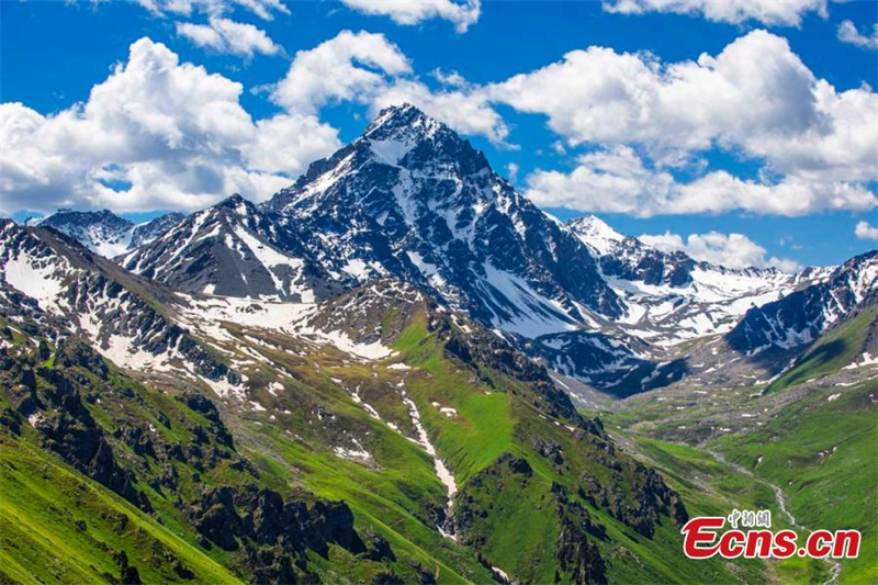 Καλοκαιριν? τοπ?ο που κ?βει την αν?σα στο Κουερντεν?νγκ