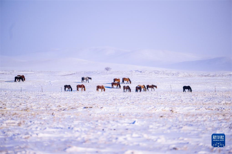 ?μορφο χειμωνι?τικο τοπ?ο στο λιβ?δι