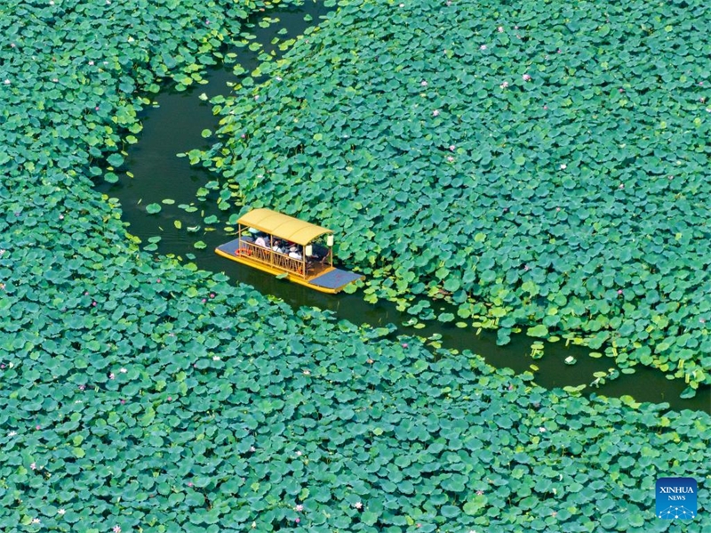 ?νθη νο?φαρων ανθ?ζουν σε ?λη την Κ?να