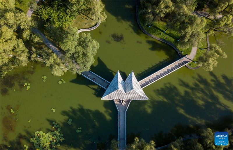 To Εθνικ? Π?ρκο Υγροτ?πων Τα?γιανγκντ?ο στην π?λη Χαρμπ?ν