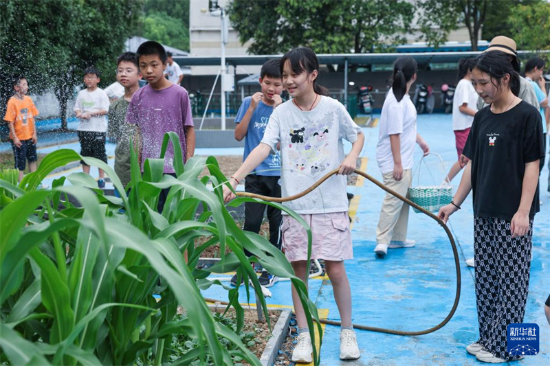 Το χρυσ? φθιν?πωρο καλωσορ?ζει μια μεγ?λη συγκομιδ? στην πανεπιστημιο?πολη απ? του? μαθητ?? πρακτικ?? ?σκηση? του δημοτικο?