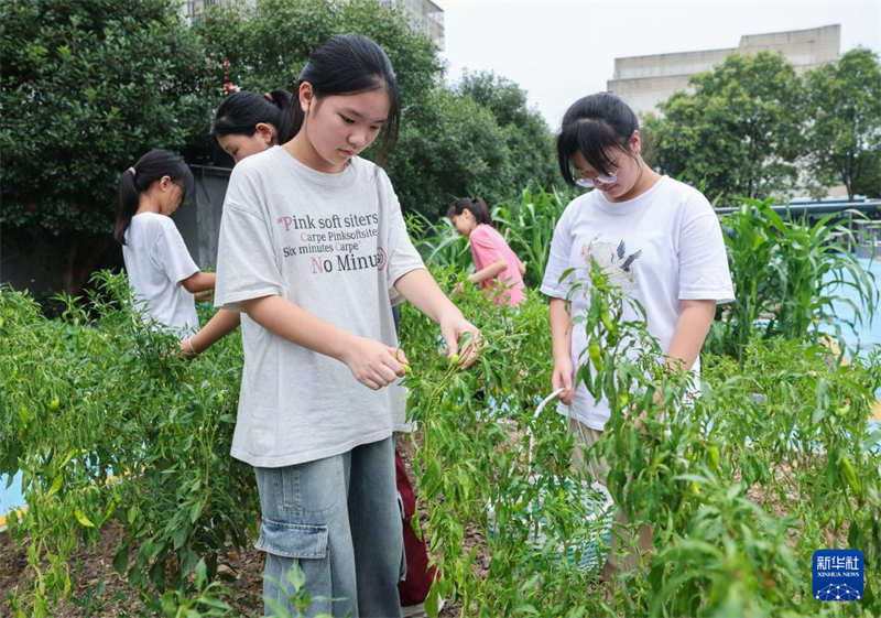 Το χρυσ? φθιν?πωρο καλωσορ?ζει μια μεγ?λη συγκομιδ? στην πανεπιστημιο?πολη απ? του? μαθητ?? πρακτικ?? ?σκηση? του δημοτικο?
