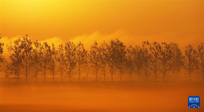 H Κ?να ντ?νεται με πολ?χρωμα φθινοπωριν? χρ?ματα