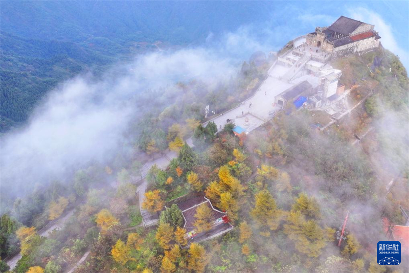 H Κ?να ντ?νεται με πολ?χρωμα φθινοπωριν? χρ?ματα