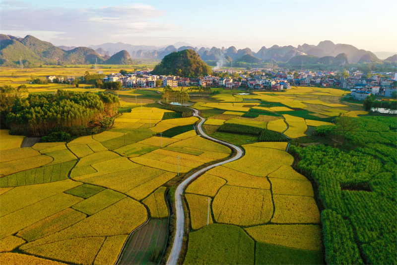 Στην επαρχ?α Γκουανσ? η ?παιθρο? ε?ναι πολ?χρωμη με ?φθονα τοπ?α