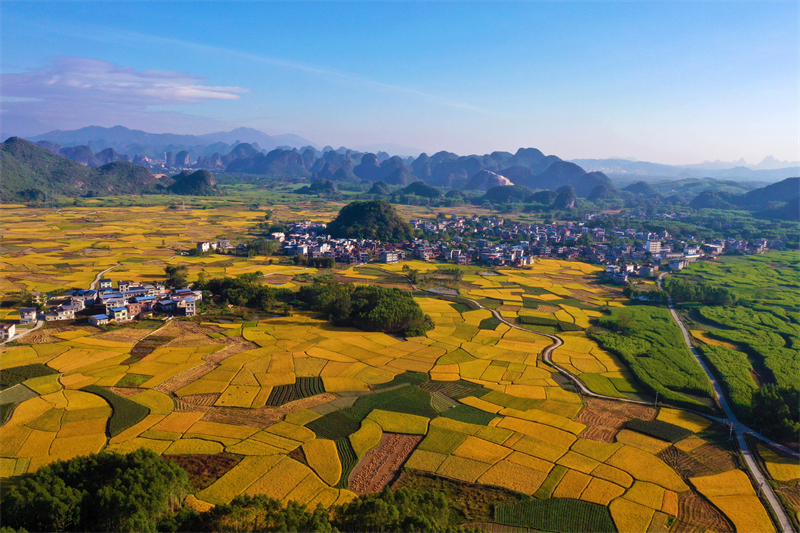 Στην επαρχ?α Γκουανσ? η ?παιθρο? ε?ναι πολ?χρωμη με ?φθονα τοπ?α