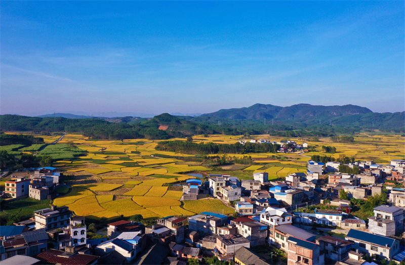 Στην επαρχ?α Γκουανσ? η ?παιθρο? ε?ναι πολ?χρωμη με ?φθονα τοπ?α