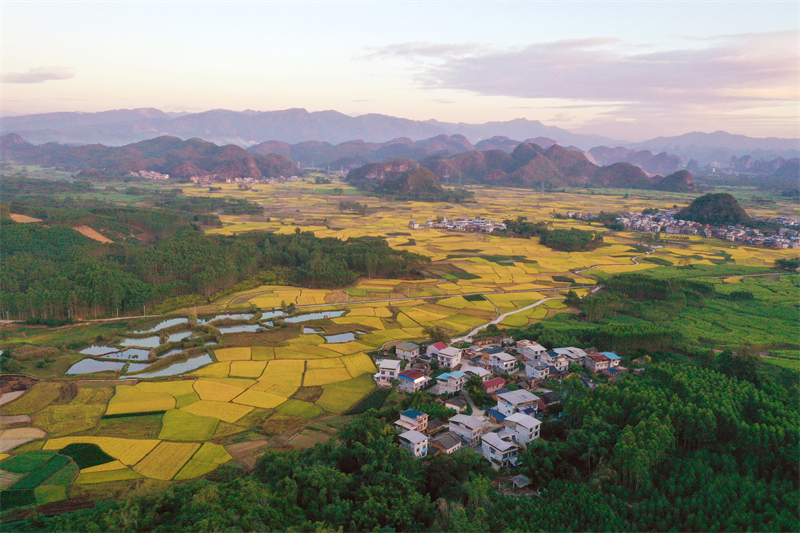 Στην επαρχ?α Γκουανσ? η ?παιθρο? ε?ναι πολ?χρωμη με ?φθονα τοπ?α