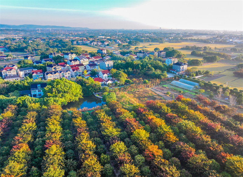 Γραφικ? πρωιν? εξοχ? το φθιν?πωρο