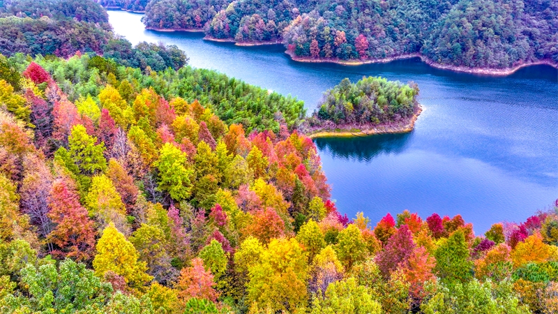 Τα πολ?χρωμα νησι? τη? λ?μνη? Τσιεντ?ο