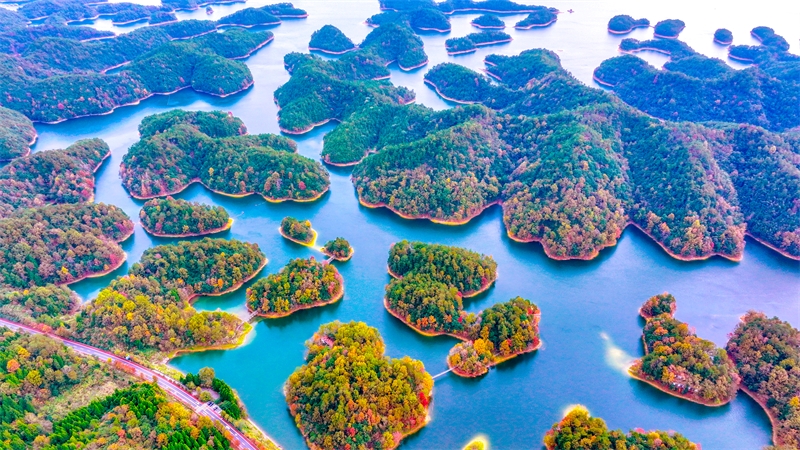 (Φωτογραφ?α / Λα?κ? Καθημεριν? Online)