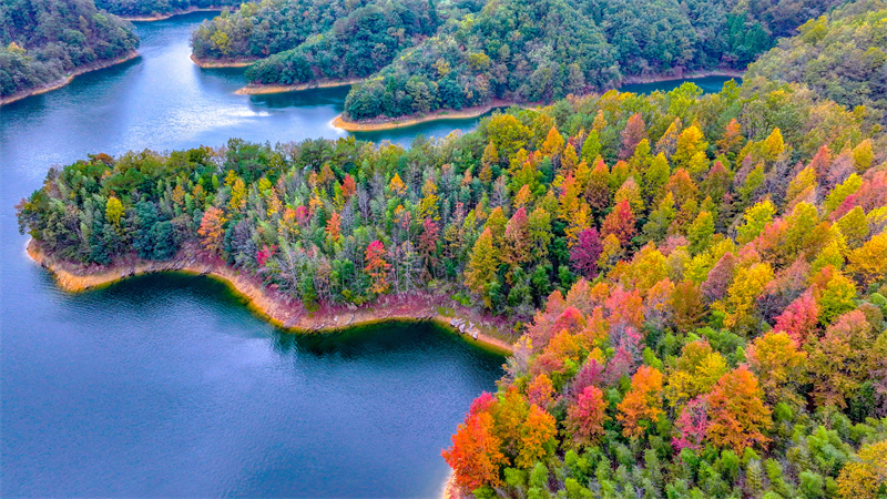 Τα πολ?χρωμα νησι? τη? λ?μνη? Τσιεντ?ο
