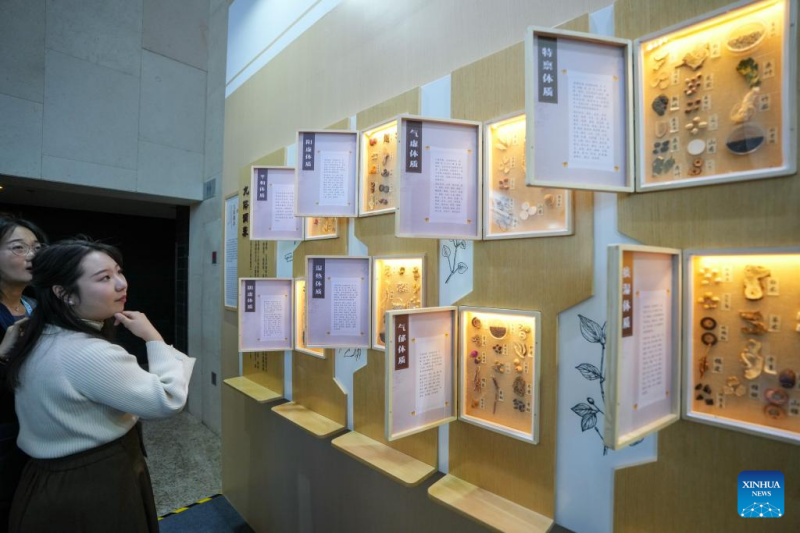 Το?φετιν? Παγκ?σμιο Συν?δριο Παραδοσιακ?? Ιατρικ?? ξεκ?νησε στο Πεκ?νο