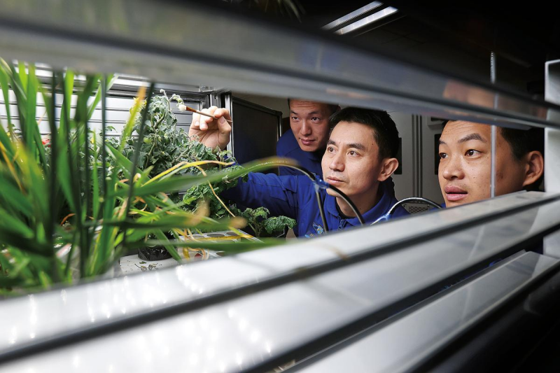 Ανασκ?πηση στι? φετιν?? Κινεζικ?? διαστημικ?? επιτυχ?ε?