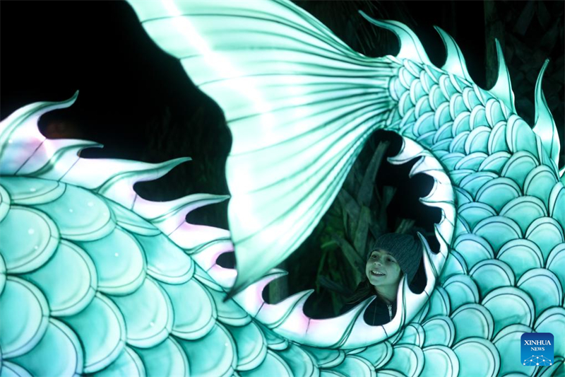 ?ναψαν τα κινεζικ? παραδοσιακ? φαν?ρια σε ?κθεση στη Ρ?μη