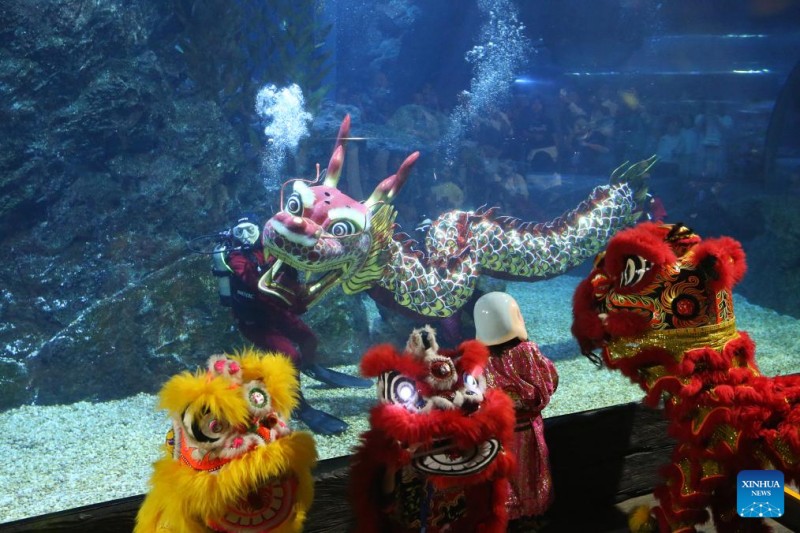 Δ?τε? χορε?ουν μ?σα στο νερ? το χορ? του δρ?κου στο SEA LIFE Bangkok Ocean World για να υποδεχτο?ν την επικε?μενη Κινεζικ? Πρωτοχρονι? στη Μπανγκ?κ, Τα?λ?νδη, 16 Ιανουαρ?ου 2025. Η Κινεζικ? Πρωτοχρονι?, επ?ση? γνωστ? ω? Φεστιβ?λ τη? ?νοιξη?, θα πραγματοποιηθε? στι? 29 Ιανουαρ?ου φ?το?, σηματοδοτ?ντα? την αρχ? του ?του? του Φιδιο?