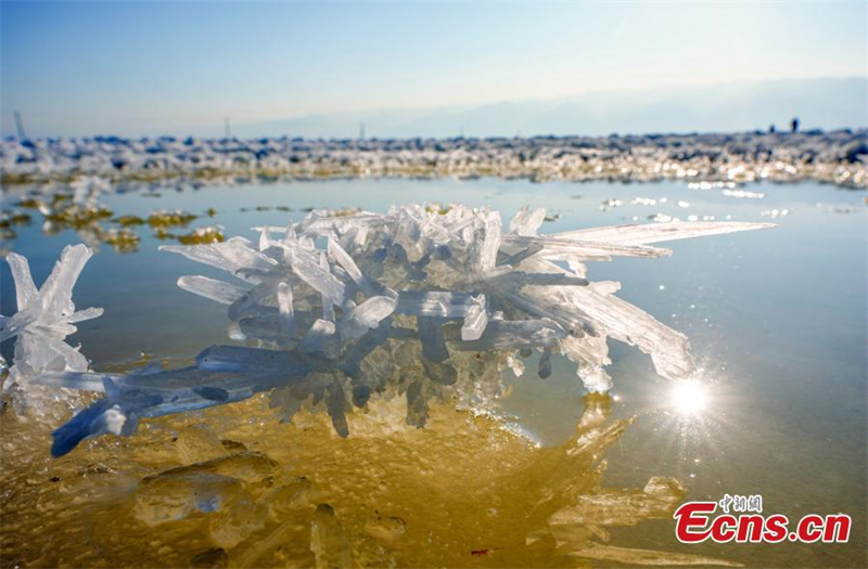 Τα ?λουλο?δια Mirabilite? εμφαν?ζονται στην επιφ?νεια μια? αλμυρ?? λ?μνη? στο Γιουντσ?νγκ, στην επαρχ?α Σανσ? τη? β?ρεια? Κ?να?, 16 Ιανουαρ?ου 2025. (Η φωτογραφ?α παρ?χεται στην υπηρεσ?α ειδ?σεων τη? Κ?να?)