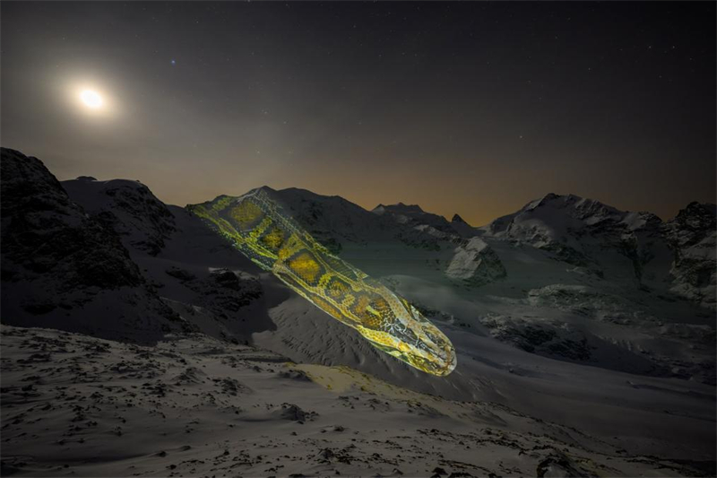 Προβολ? στον παγετ?να Pers τη? Ελβετ?α? εν?? εντυπωσιακο? φιδιο? για το Κινεζικ? Ν?ο ?το?