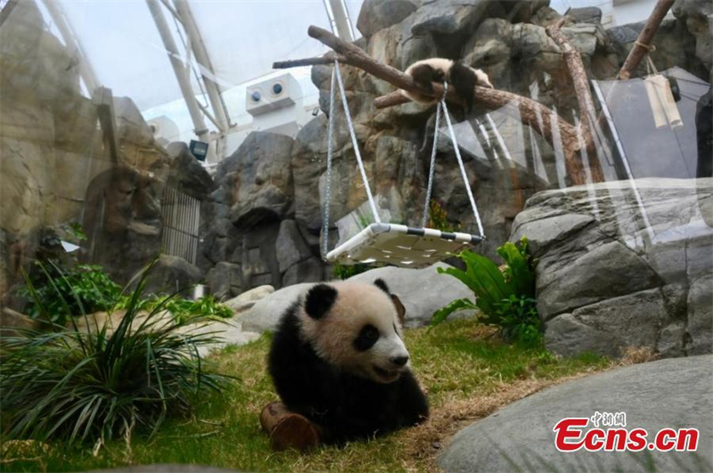 Χαριτωμ?να δ?δυμα π?ντα συναντο?ν τα μ?σα ενημ?ρωση? στο Χονγκ Κονγκ