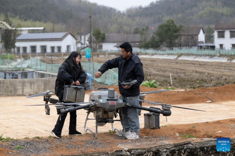 Η Τι?ν Σουσιαν (αριστερ?) και ο σ?ζυγ?? τη? αλλ?ζουν την μπαταρ?α εν?? γεωργικο? drone στο χωρι? Ανφ?νγκ, στην π?λη Τζονγκχουπ?, τη? π?λη? Τσ?μπι, στην κεντρικ? επαρχ?α Χουμπ?ι τη? Κ?να?, στι? 7 Φεβρουαρ?ου 2025.