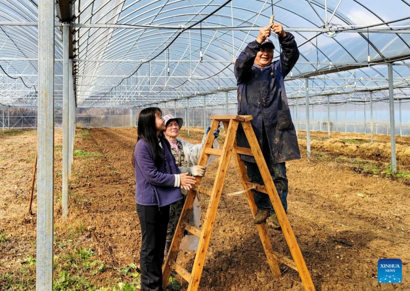 Μια αντιπρ?σωπο? τη? Λα?κ?? Εθνοσυν?λευση? στο πλευρ? των αγροτ?ν τη? επαρχ?α? Χουμπ?ι τη? Κ?να?