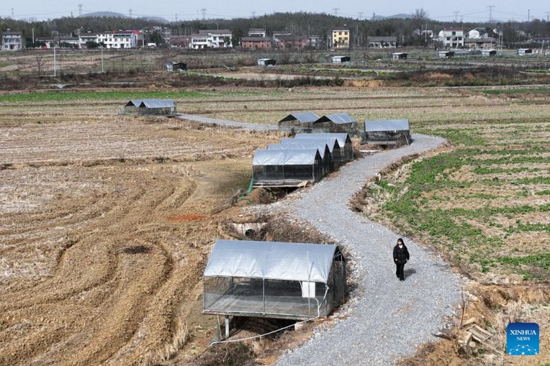 Μια αντιπρ?σωπο? τη? Λα?κ?? Εθνοσυν?λευση? στο πλευρ? των αγροτ?ν τη? επαρχ?α? Χουμπ?ι τη? Κ?να?