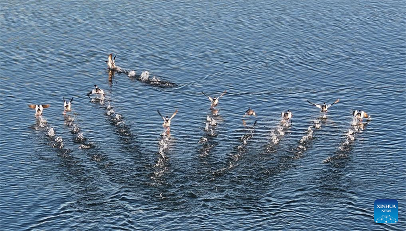 Ανοιξι?τικε? εικ?νε? σε ?λη την Κ?να