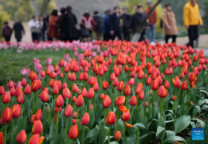Σκ?τη απ?λαυση για του? επισκ?πτε? η ανθισμ?νη Χανγκτζο? στην ανατολικ? Κ?να